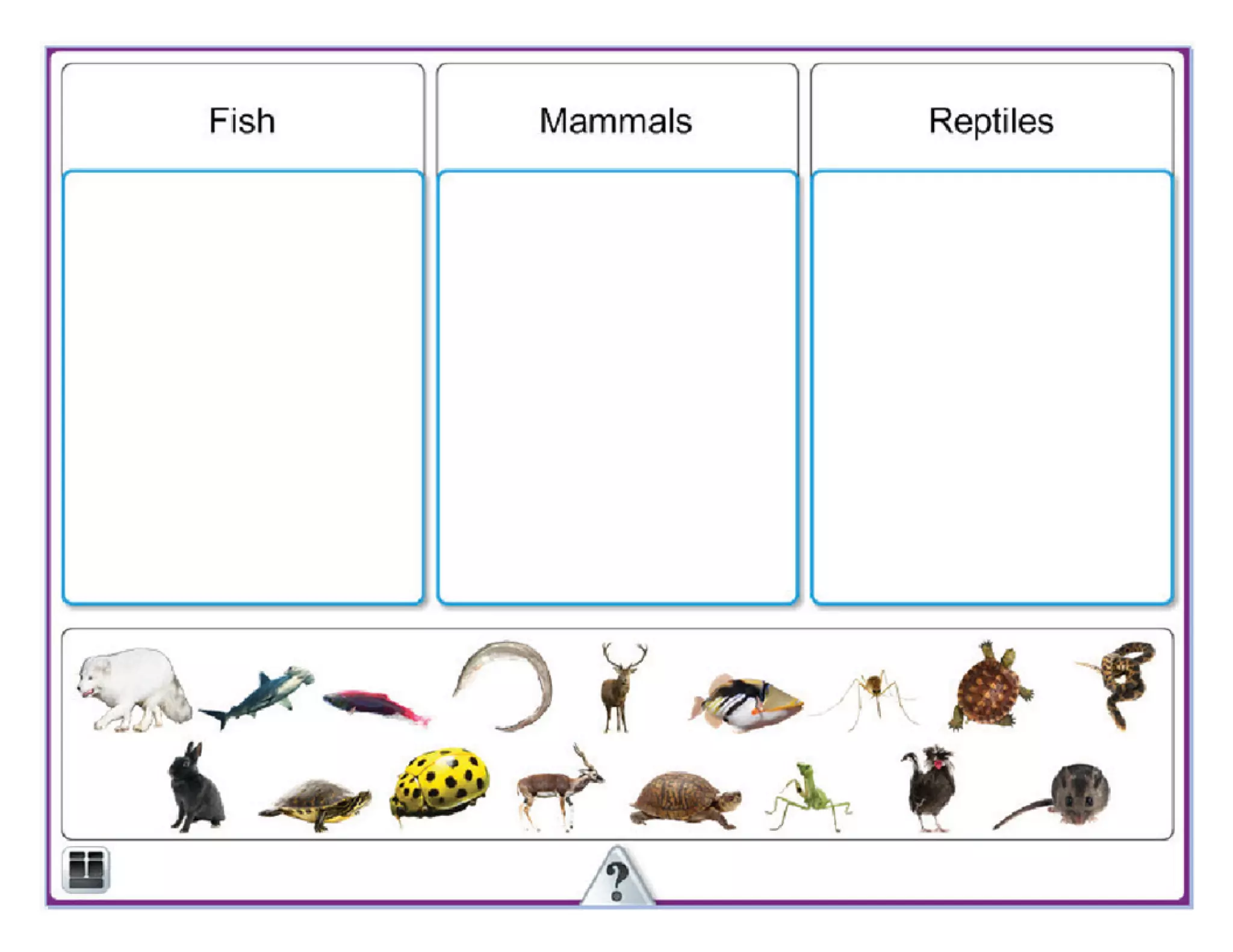 Mimio Activity Wizard Basics