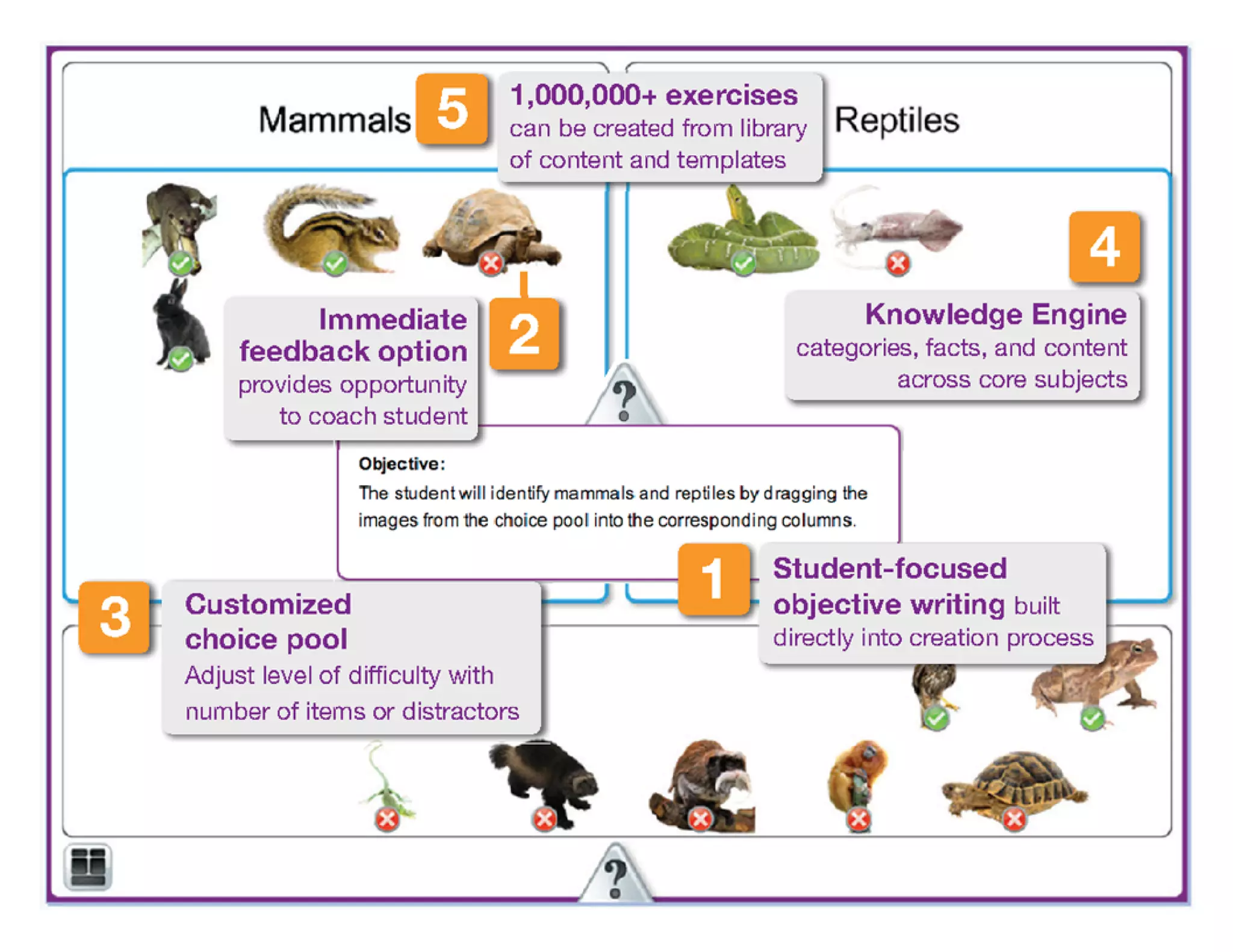 Mimio Activity Wizard Basics