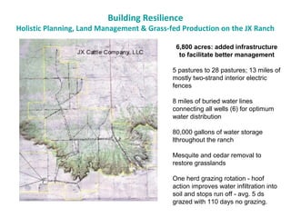 Building Resilience
Holistic Planning, Land Management & Grass-fed Production on the JX Ranch
6,800 acres: added infrastructure
to facilitate better management
5 pastures to 28 pastures; 13 miles of
mostly two-strand interior electric
fences
8 miles of buried water lines
connecting all wells (6) for optimum
water distribution
80,000 gallons of water storage
lthroughout the ranch
Mesquite and cedar removal to
restore grasslands
One herd grazing rotation - hoof
action improves water infiltration into
soil and stops run off - avg. 5 ds
grazed with 110 days no grazing.
 