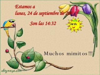 Muchos mimitos!!! Estamos a  miércoles, 27 de mayo de 2009 Son las  16:55 