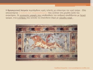 Η θρησκευτική λατρεία περιλάμβανε ιερές τελετές με επίκεντρο τον ιερό ταύρο – Εδώ
απεικονίζεται η τελετή των ταυροκαθαψίων που γινόταν στη μεγάλη αυλή του
ανακτόρου. Οι γυναικείες μορφές που υποβοηθούν την ανδρική αποδίδονται με λευκό
χρώμα, ενώ ο άνδρας που εκτελεί το επικίνδυνο άλμα με γαιώδες καφέ .
Σερδάκη Ευαγγελία - www.synodoiporos.weebly.com
 