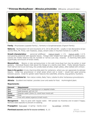 * Primrose Monkeyflower – Mimulus primuloides

(MIM-yoo-lus prim-yoo-LO-i-dees )

Family: Phrymaceae (Lopseed Family) ; formerly in Scrophulariaceae (Figwort Family)
Native to: Northwestern CA and mountains of S. CA to OR and NV. Locally in San Bernardino & San
Jacinto Mtns, Mt. Pinos; wet meadows, seeps, stream sides in mountain forests to 11,000 ft.

perennial wildflower
mature height: < 1 ft.
mature width: 1-2 ft.
Low-growing perennial with opposite leaves. Foliage color ranges from light green to purple-green.
Leaves are mostly basal & may be rounded or narrow (var./ssp. linearis). A charming little plant
superficially reminiscent of forest violets.

Growth characteristics:

Blooms in late spring/summer in the wild (June-Aug) but may be earlier in local
gardens. Individual flowers held above the foliage on a dainty erect stem. Pretty delicate flowers,
from half an inch to an inch long, the corolla-lobes all alike, bright yellow, often dotted with crimson.

Blooms/fruits:

Uses in the garden: A truly charming little plant for containers, where you can appreciate its delicate

beauty. Great low groundcover in small areas where soil is moist – would look good growing
between pavers. Great for garden water features like waterfalls, streams, bog gardens, fountains.

Sensible substitute for: Non-native violets, Baby Tears, Lobelia & other herbaceous groundcovers.
Attracts: Excellent bird habitat: provides cover and seeds for food. Hummingbird plant.
Requirements:
Element
Sun
Soil
Water
Fertilizer
Other

Requirement

Part-shade best; morning sun or dappled shade.
Well-drained; pH 5.0-7.0.
Regular water (Zone 3); must have moist soil.
Fine.
Fine with added organics & leaf mulch.

Easy to grow with regular water. Will spread via rhizomes and re-seed if happy.
Remove seed capsules to prevent re-seeding.

Management:

Propagation: from seed: in spring – barely cover
Plant/seed sources (see list for source numbers): 8, 13

by cuttings: probably
3/1/11
© Project SOUND

 