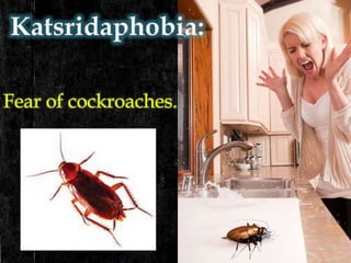 Fear of cockroaches.
 