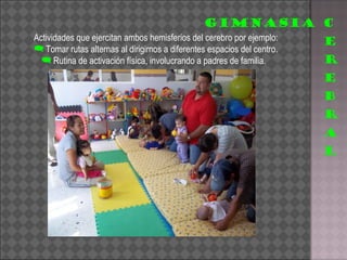 Actividades que ejercitan ambos hemisferios del cerebro por ejemplo: Tomar rutas alternas al dirigirnos a diferentes espacios del centro. Rutina de activación física, involucrando a padres de familia.  GIMNASIA 