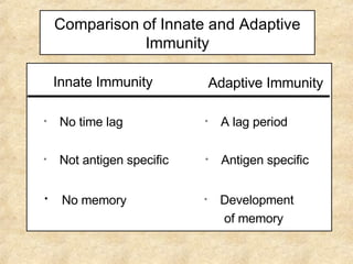 Comparison   of Innate and Adaptive Immunity No memory   No time lag Not antigen specific A lag period Antigen specific Development of memory Innate Immunity Adaptive Immunity 