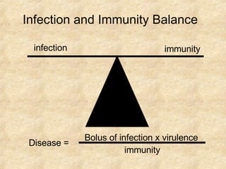 Infection and Immunity Balance infection immunity Bolus of infection x virulence immunity Disease = 