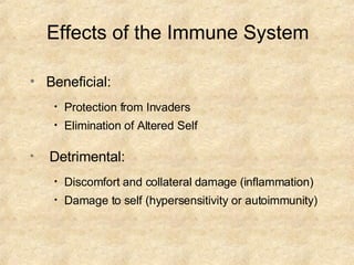 Effects of the Immune System Beneficial: Protection from Invaders Elimination of Altered Self Detrimental: Discomfort and collateral damage (inflammation) Damage to self (hypersensitivity or autoimmunity) 