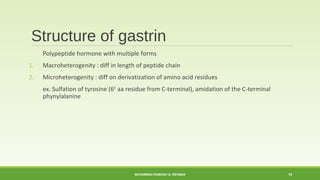 Structure of gastrin 
Polypeptide hormone with multiple forms 
1. Macroheterogenity : diff in length of peptide chain 
2. Microheterogenity : diff on derivatization of amino acid residues 
ex. Sulfation of tyrosine (6th aa residue from C-terminal), amidation of the C-terminal 
phynylalanine 
MUHAMMAD RAMZAN UL REHMAN 10 
 