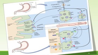 MUHAMMAD RAMZAN UL REHMAN 15 
 