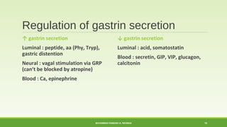 Regulation of gastrin secretion 
↑ gastrin secretion 
Luminal : peptide, aa (Phy, Tryp), 
gastric distention 
Neural : vagal stimulation via GRP 
(can’t be blocked by atropine) 
Blood : Ca, epinephrine 
↓ gastrin secretion 
Luminal : acid, somatostatin 
Blood : secretin, GIP, VIP, glucagon, 
calcitonin 
MUHAMMAD RAMZAN UL REHMAN 16 
 