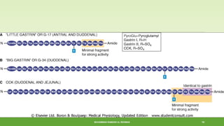 MUHAMMAD RAMZAN UL REHMAN 19 
 
