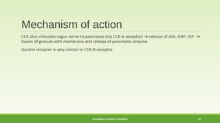 Mechanism of action 
CCK also stimulate vagus nerve to pancrease (via CCK-A receptor) → release of Ach, GRP, VIP → 
fusion of granule with membrane and release of pancreatic enzyme 
Gastrin receptor is very similar to CCK-B receptor. 
MUHAMMAD RAMZAN UL REHMAN 24 
 