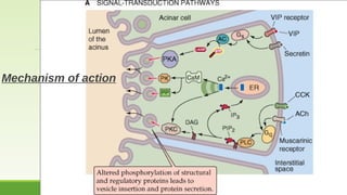 Mechanism of action 
25 
MUHAMMAD RAMZAN UL REHMAN 
 