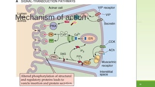Mechanism of action 
MUHAMMAD RAMZAN UL REHMAN 31 
 