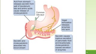 MUHAMMAD RAMZAN UL REHMAN 32 
 