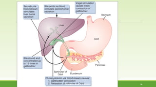 MUHAMMAD RAMZAN UL REHMAN 35 
 