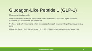 Glucagon-Like Peptide 1 (GLP-1) 
30 amino-acid polypeptide 
Incretin hormone : intestinal hormone secreted in response to nutrient ingestion which 
potentiate glucose-induced insulin release 
Produced by L cell in ileum and colon, pancreatic alpha cell, neurons in hypothalamus, pituitary 
gland 
2 bioactive forms : GLP-1[7-36] amide , GLP-1[7-37] both forms are equipotent, same t1/2 
MUHAMMAD RAMZAN UL REHMAN 40 
 