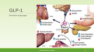 GLP-1 
Derivative of glucagon 
MUHAMMAD RAMZAN UL REHMAN 41 
 