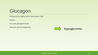 Glucagon 
Produced by alpha cell of pancreatic islet 
Action : 
Increase glycogenolysis 
Increase gluconeogenesis 
hyperglycemia 
MUHAMMAD RAMZAN UL REHMAN 42 
 