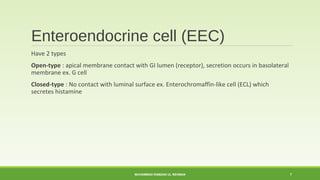 Enteroendocrine cell (EEC) 
Have 2 types 
Open-type : apical membrane contact with GI lumen (receptor), secretion occurs in basolateral 
membrane ex. G cell 
Closed-type : No contact with luminal surface ex. Enterochromaffin-like cell (ECL) which 
secretes histamine 
MUHAMMAD RAMZAN UL REHMAN 7 
 