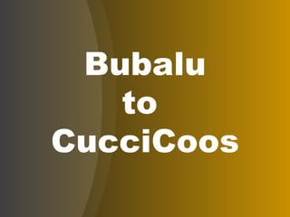 Bubalu to  CucciCoos 