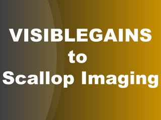 VISIBLEGAINS to  Scallop Imaging 
