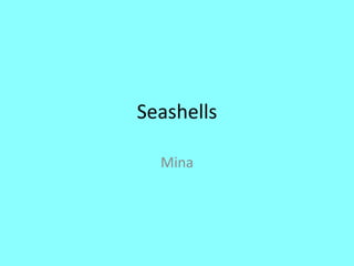 Seashells Mina 