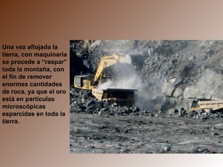 Una vez aflojada la tierra, con maquinaria se procede a “raspar” toda la montaña, con el fin de remover enormes cantidades de roca, ya que el oro está en partículas microscópicas esparcidas en toda la tierra. 