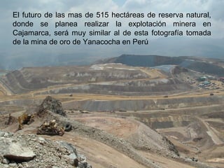 El futuro de las mas de 515 hectáreas de reserva natural,
donde se planea realizar la explotación minera en
Cajamarca, será muy similar al de esta fotografía tomada
de la mina de oro de Yanacocha en Perú
 