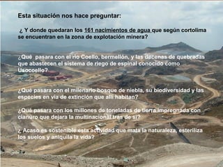 Esta situación nos hace preguntar:
¿ Y donde quedaran los 161 nacimientos de agua que según cortolima
se encuentran en la zona de explotación minera?
¿Qué pasara con el rio Coello, bermellón, y las decenas de quebradas
que abastecen el sistema de riego de espinal conocido como
Usocoello?
¿Qué pasara con el milenario bosque de niebla, su biodiversidad y las
especies en vía de extinción que allí habitan?
¿Qué pasara con los millones de toneladas de tierra impregnada con
cianuro que dejara la multinacional tras de si?
¿ Acaso es sostenible esta actividad que mata la naturaleza, esteriliza
los suelos y aniquila la vida?
 