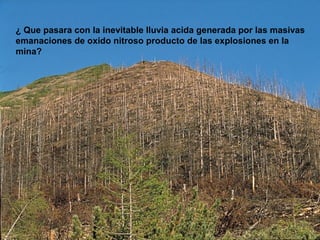 ¿ Que pasara con la inevitable lluvia acida generada por las masivas
emanaciones de oxido nitroso producto de las explosiones en la
mina?
 