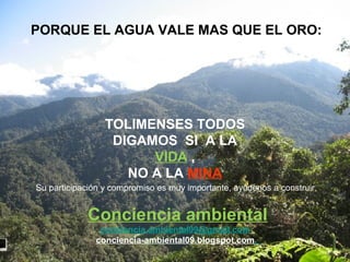 PORQUE EL AGUA VALE MAS QUE EL ORO:
TOLIMENSES TODOS
DIGAMOS SI A LA
VIDA ,
NO A LA MINA
Su participación y compromiso es muy importante, ayúdenos a construir,
Conciencia ambiental
conciencia.ambiental09@gmail.com
conciencia-ambiental09.blogspot.com
 
