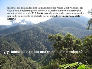 las pruebas realizadas por la multinacional Anglo Gold Ashanti en
Cajamarca sugieren que el oro esta superficialmente disperso por
una área de cerca de 515 hectáreas de la zona de reserva natural y
por ende se necesita explotarla por el método de minería a cielo
abierto
¿ y como se explota una mina a cielo abierto?
 