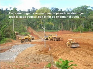 En primer lugar , con maquinaria pesada se destruye
toda la capa vegetal con el fin de exponer el suelo….
 