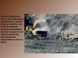 Una vez aflojada la
tierra, con maquinaria
se procede a “raspar”
toda la montaña, con
el fin de remover
enormes cantidades
de roca, ya que el oro
está en partículas
microscópicas
esparcidas en toda la
tierra.
 