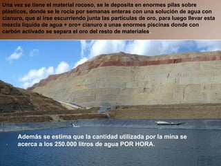 Una vez se tiene el material rocoso, se le deposita en enormes pilas sobre
plásticos, donde se le rocía por semanas enteras con una solución de agua con
cianuro, que al irse escurriendo junta las partículas de oro, para luego llevar esta
mezcla liquida de agua + oro+ cianuro a unas enormes piscinas donde con
carbón activado se separa el oro del resto de materiales.
Además se estima que la cantidad utilizada por la mina se
acerca a los 250.000 litros de agua POR HORA.
 