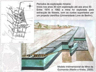 Períodos de exploração mineira:
Início nos anos 30 com exploração até aos anos 50.
Entre 1974 e 1982 a mina foi explorada para
extracção de fósseis, com os custos suportados por
um projecto científico (Universidade Livre de Berlim).
Modelo tridimensional da Mina da
Guimarota (Martin e Krebs, 2000).
 