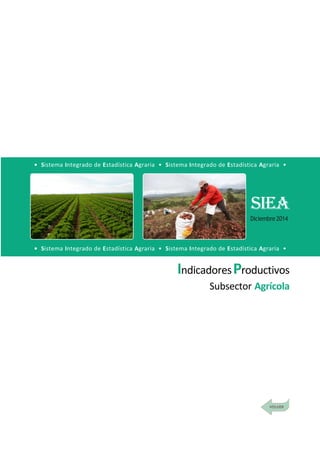 DirecciónGeneraldeSeguimientoyEvaluacióndePolíticas-DGESEP
Sistema Integrado de Estadística Agraria • SIEA • Diciembre 2014
5
IndicadoresProductivos
Subsector Agrícola
• Sistema Integrado de Estadística Agraria • Sistema Integrado de Estadística Agraria •
• Sistema Integrado de Estadística Agraria • Sistema Integrado de Estadística Agraria •
SIEA
Diciembre2014
 
