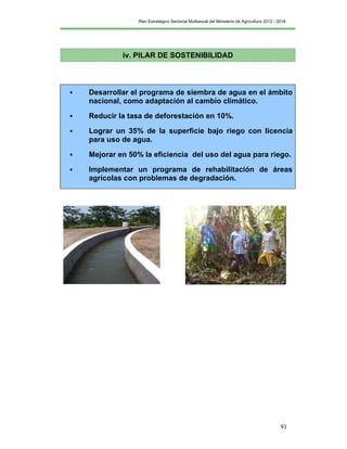 Plan Estratégico Sectorial Multianual del Ministerio de Agricultura 2012 - 2016
91
 Desarrollar el programa de siembra de agua en el ámbito
nacional, como adaptación al cambio climático.
 Reducir la tasa de deforestación en 10%.
 Lograr un 35% de la superficie bajo riego con licencia
para uso de agua.
 Mejorar en 50% la eficiencia del uso del agua para riego.
 Implementar un programa de rehabilitación de áreas
agrícolas con problemas de degradación.
iv. PILAR DE SOSTENIBILIDAD
 