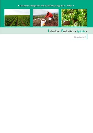 DirecciónGeneraldeSeguimientoyEvaluacióndePolíticas-DGESEP
Sistema Integrado de Estadística Agraria • SIEA • Diciembre 2015
13
Indicadores Productivos
Indicadores Productivos • Agrícola •
Diciembre 2015
• Sistema Integrado de Estadística Agraria - SIEA •• Sistema Integrado de Estadística Agraria - SIEA •
 