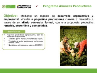  Programa Alianzas Productivas
Objetivo: Mediante un modelo de desarrollo organizativo y
empresarial, vincular a pequeños productores rurales a mercados a
través de un aliado comercial formal, con una propuesta productiva
rentable, sostenible y competitiva.
 Pequeños productores agropecuarios, con las
siguientes características:
 Alfabetos (por lo menos un miembro del hogar).
 Vinculados al sector agropecuario por lo menos
durante 3 años.
 Que posean activos que no superen 200 SMLV.
Beneficiarios
 