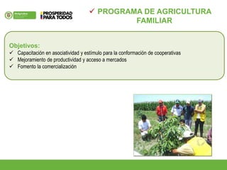  PROGRAMA DE AGRICULTURA
FAMILIAR
Objetivos:
 Capacitación en asociatividad y estímulo para la conformación de cooperativas
 Mejoramiento de productividad y acceso a mercados
 Fomento la comercialización
 
