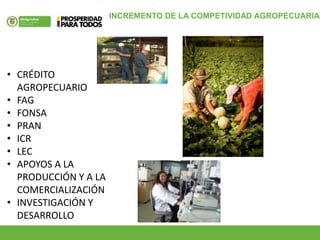 INCREMENTO DE LA COMPETIVIDAD AGROPECUARIA
• CRÉDITO
AGROPECUARIO
• FAG
• FONSA
• PRAN
• ICR
• LEC
• APOYOS A LA
PRODUCCIÓN Y A LA
COMERCIALIZACIÓN
• INVESTIGACIÓN Y
DESARROLLO
 