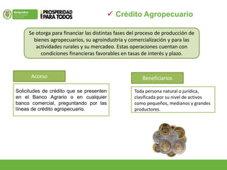  Crédito Agropecuario
Se otorga para financiar las distintas fases del proceso de producción de
bienes agropecuarios, su agroindustria y comercialización y para las
actividades rurales y su mercadeo. Estas operaciones cuentan con
condiciones financieras favorables en tasas de interés y plazo.
Solicitudes de crédito que se presenten
en el Banco Agrario o en cualquier
banco comercial, preguntando por las
líneas de crédito agropecuario.
Toda persona natural o jurídica,
clasificada por su nivel de activos
como pequeños, medianos y grandes
productores.
Acceso Beneficiarios
 