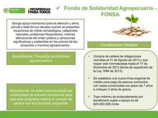 Otorga apoyo económico para la atención y alivio
parcial y total de sus deudas cuando se presenten
situaciones de índole climatológica, catástrofes
naturales, problemas fitosanitarios, notorias
alteraciones del orden público y variaciones
significativas y sostenidas en los precios de los
productos o insumos agropecuarios.
Beneficiarios: Pequeños productores
agropecuarios
Actualmente, se están estructurando las
condiciones de entrada necesarias para
que este programa realice la compra de
cartera con los recursos asignados.
Condiciones iniciales
• Compra de cartera de obligaciones
vencidas al 31 de Agosto de 2013 y que
hayan sido normalizadas hasta el 17 de
Diciembre de 2013 (fecha de expedición de
la Ley 1694 de 2013).
• Se establece una nueva línea especial de
crédito para pago de pasivos contraídos
con casas comerciales con plazo de 7 años
e incluyen 2 años de gracia.
• Tope máximo de endeudamiento por
beneficiario sujeto a apoyo es de
$20.000.000 m/cte.
 Fondo de Solidaridad Agropecuaria -
FONSA
 