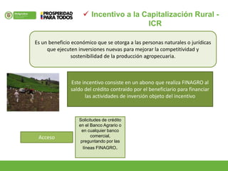  Incentivo a la Capitalización Rural -
ICR
Solicitudes de crédito
en el Banco Agrario o
en cualquier banco
comercial,
preguntando por las
líneas FINAGRO.
Es un beneficio económico que se otorga a las personas naturales o jurídicas
que ejecuten inversiones nuevas para mejorar la competitividad y
sostenibilidad de la producción agropecuaria.
Este incentivo consiste en un abono que realiza FINAGRO al
saldo del crédito contraído por el beneficiario para financiar
las actividades de inversión objeto del incentivo
Acceso
 