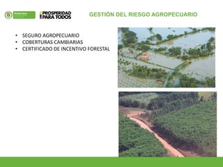GESTIÓN DEL RIESGO AGROPECUARIO
• SEGURO AGROPECUARIO
• COBERTURAS CAMBIARIAS
• CERTIFICADO DE INCENTIVO FORESTAL
 