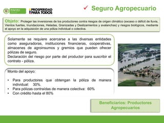 Objeto: Proteger las inversiones de los productores contra riesgos de origen climático (exceso o déficit de lluvia,
Vientos fuertes, Inundaciones, Heladas, Granizadas y Deslizamientos y avalanchas) y riesgos biológicos, mediante
el apoyo en la adquisición de una póliza individual o colectiva.
Beneficiarios: Productores
Agropecuarios
 Seguro Agropecuario
Solamente se requiere acercarse a las diversas entidades
como aseguradoras, instituciones financieras, cooperativas,
almacenes de agroinsumos y gremios que pueden ofrecer
pólizas de seguro.
Declaración del riesgo por parte del productor para suscribir el
contrato - póliza.
Monto del apoyo:
• Para productores que obtengan la póliza de manera
individual: 30%.
• Para pólizas contraídas de manera colectiva: 60%
• Con crédito hasta el 80%
 