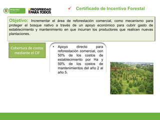 Objetivo: Incrementar el área de reforestación comercial, como mecanismo para
proteger el bosque nativo a través de un apoyo económico para cubrir gasto de
establecimiento y mantenimiento en que incurran los productores que realicen nuevas
plantaciones.
 Certificado de Incentivo Forestal
• Apoyo directo para
reforestación comercial, con
50% de los costos de
establecimiento por Ha y
50% de los costos de
mantenimientos del año 2 al
año 5.
Cobertura de costos
mediante el CIF
 