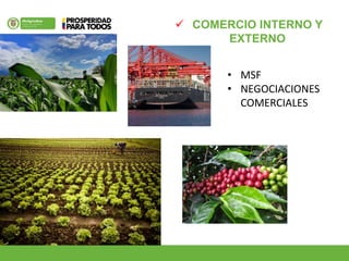  COMERCIO INTERNO Y
EXTERNO
• MSF
• NEGOCIACIONES
COMERCIALES
 